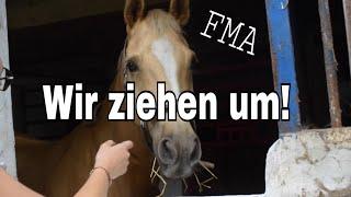 Die Pferde ziehen auf unseren Hof! FMA