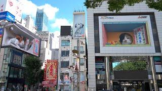 TOKYO: 3D Cat in Shinjuku - Billboard Japan 4K HDR