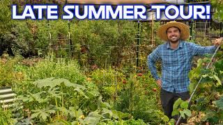 End Of Summer Garden Tour | The Good, The Bad, and The Ugly