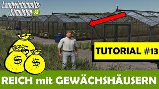 LS25  EINSTEIGER TUTORIAL #13  REICH werden mit GEWÄCHSHÄUSERN  ICH zeige EUCH wie es geht !