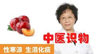 李子吃多了會怎樣【保健養生】生生不息