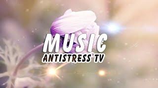  Relaxing Music 2020 [Antistress TV] и Зимой Растут Цветы | Insomniac