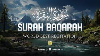 Surah Al Baqarah Full (سورة البقره) HEART TOUCHING RECITATION | Zikrullah TV