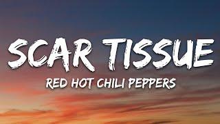 Red Hot Chili Peppers - Scar Tissue (Lyrics)