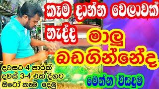 දවසට 4 ගානේ වෙලාවට ඔටෝ කෑම දෙමු | auto feeder sinhala