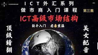 ICT超精翻译中文配音-MMXM做市商系列 第三集-高级市场结构