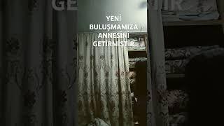28 Ocak 2025