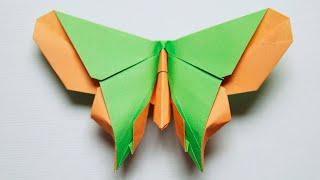  Origami Butterfly  - The Nolan (Michael G. LaFosse)