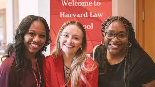 Harvard Law Memories (2023-2024)