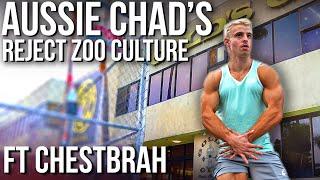 Australian Chads REJECT Zoo Culture ft. Chestbrah