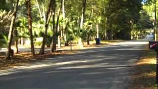 Honda CL350 Startup and ride