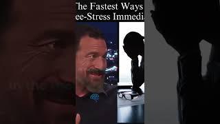 The Fastest Way to Dee-Stress Immediately #andrewhuberman #stress #mentalshift