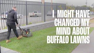 I might have changed my mind about Buffalo lawns