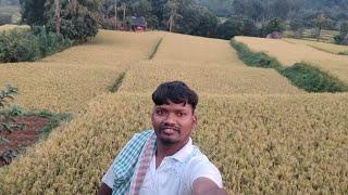 My village life #vlogs 2024