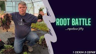 ROOT BATTLE …пробки Jiffy