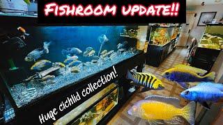 FISHROOM UPDATE!! AMAZING CICHLID COLLECTION *FULL TOUR*