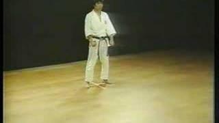 Heian Godan - Shotokan Karate