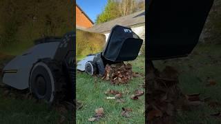 Meet my newest employee...  @mammotiontech  Tech #Mammotion #YUKA #lawnmower #robot