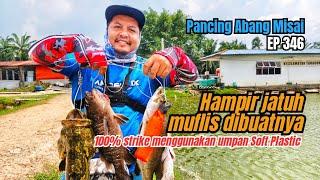 Jangan masuk kolam hujung! Mancing Ikan Siakap Kolam | Tips dan Trick