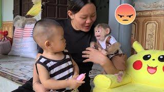 Baby Monkey David is jealous when Mom hugs his little brother