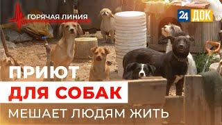 Жители станицы Роговской требуют убрать нелегального приют для животных. "Горячая линия"