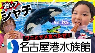 "Nagoya Port Aquarium" Shark, crocodile, sea anemone⭐️ [vol.180] Aichi theme park/amusement park