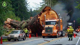 Dangerous Idiots Truck & Heavy Equipment Fails Compilation | Extreme Truck Idiots at Work #54