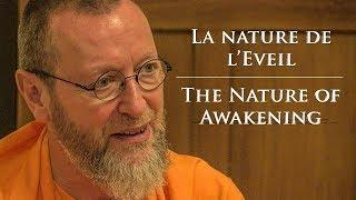 The Nature of Awakening