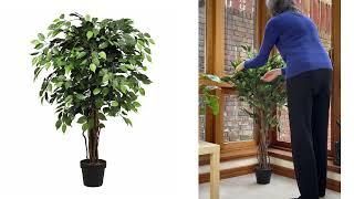 How to Shape An Artificial Ficus Tree - Artificial Eden®