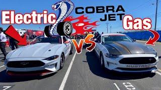 Gas vs Electric COBRA JET MUSTANG DRAG RACE! *SURPRISE WINNER