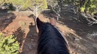 The Cedar Trail Ride at Rising K Ranch- Took some First-Time Horseback Riders for a Great Ride!