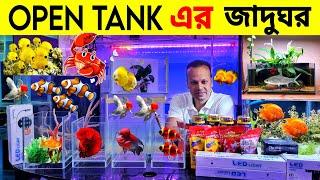 Aquarium Price In Bangladesh। Aquarium Fish Price In katabon। Aquarium Fish Price In Bangladesh