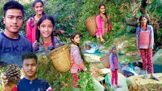 पहाड़ी नदी || Pahadi River || गधेरा || गदरू ||  चलो अखरोट खोजने || Pahadi Lifestyle In Uttarakhand