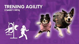 PORANNY TRENING AGILITY Z HIYĄ I SASSY | PAULINA I PSY