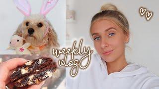 baking brownie cookies & lockdown gets easier  weekly vlog!