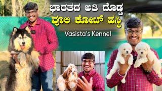 India's Biggest Wooly Coat Husky | Vasista's Kennel | Best Husky Puppies At Tumkur  Kannada Vlogs