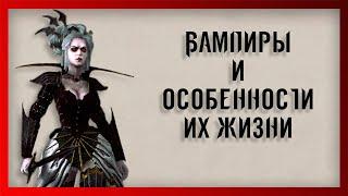 Вампиры и особенности их жизни (Warhammer FB I Total War)