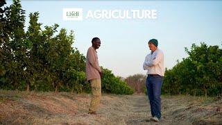 Agriculture | Liseli Foundation & Liseli Farms