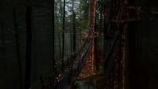 Capilano Suspension Bridge Park, Vancouver, Canada by @brendinkelly