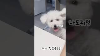 또 너희끼리만 먹냐?