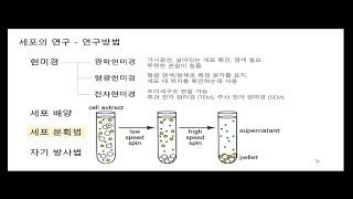 세포의 발견과 연구