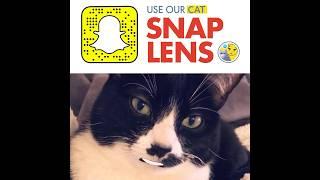 Wish you could know what your pet was feeling? Celebrate #National PetDay & unlock our Snap lens