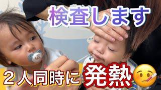 Influenza!? Kabu & Nobi will also be tested for fever  