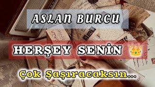 ASLAN BURCU 17 GÜN İÇİNDE ️