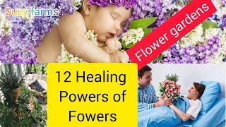 The healing power of #flowers that you should know..#health #benefits