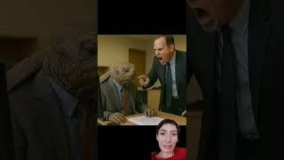 #черепаха