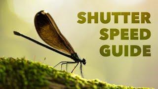 What Is Shutter Speed? - Beginner Friendly Tutorial