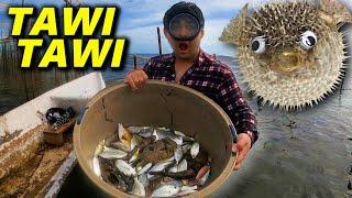 Tawi-Tawi Unlimited Fish Hunting!! Catch and Cook sa Dulo ng Pilipinas!