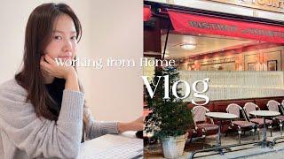 Vlog 재택근무 임상시험연구원의 연말ㅣ대환장 송년회ㅣ쿠킹클래스