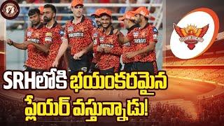 SRH టీమ్ లోకి భయంకరమైన ప్లేయర్ వస్తున్నాడు..?